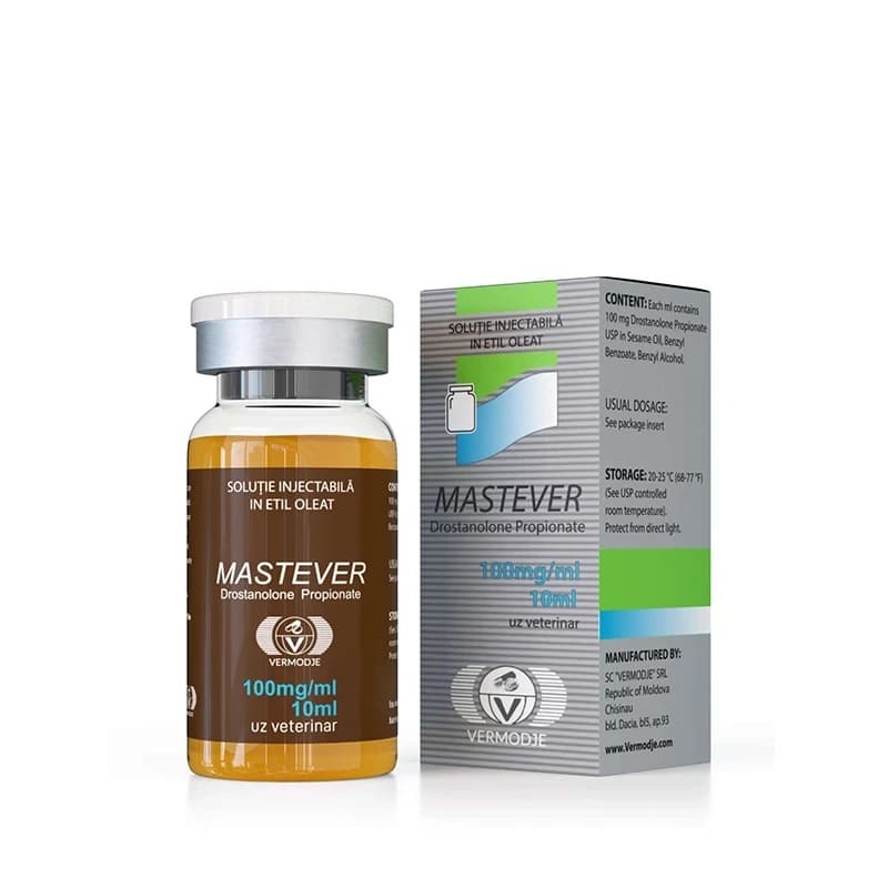 Mastever