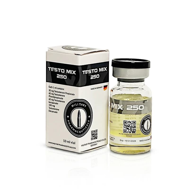 Testo Mix 250
